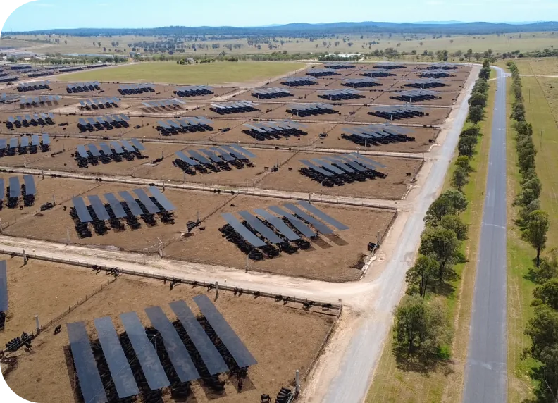 An aerial view of a feedlot, with rows of shaded pens holding cattle stretching towards the horizon and a sealed road running alongside.