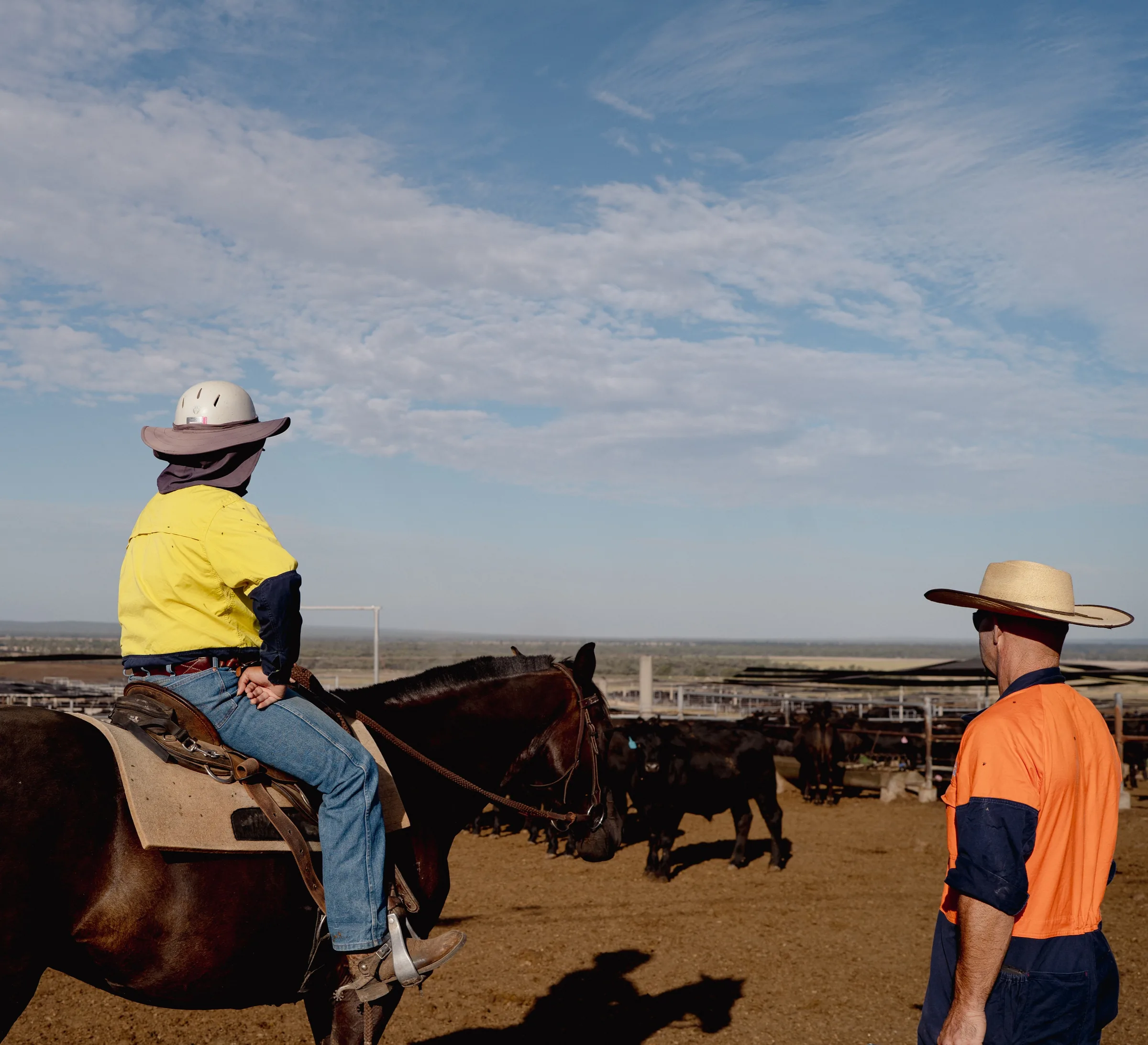A ProFeedlot rider on horseback in a feedlot pen under a wide sky, a colleague standing alongside, with cattle in the yards beyond.