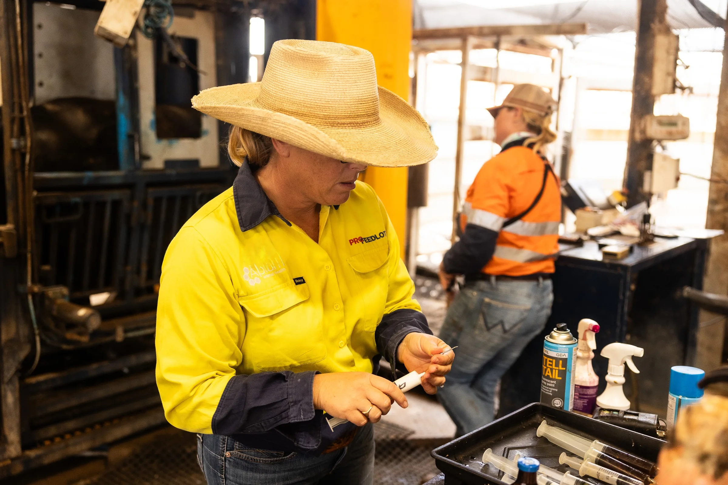 A ProFeedlot veterinarian preparing treatments at a bench in the cattle handling shed, with a colleague working behind.