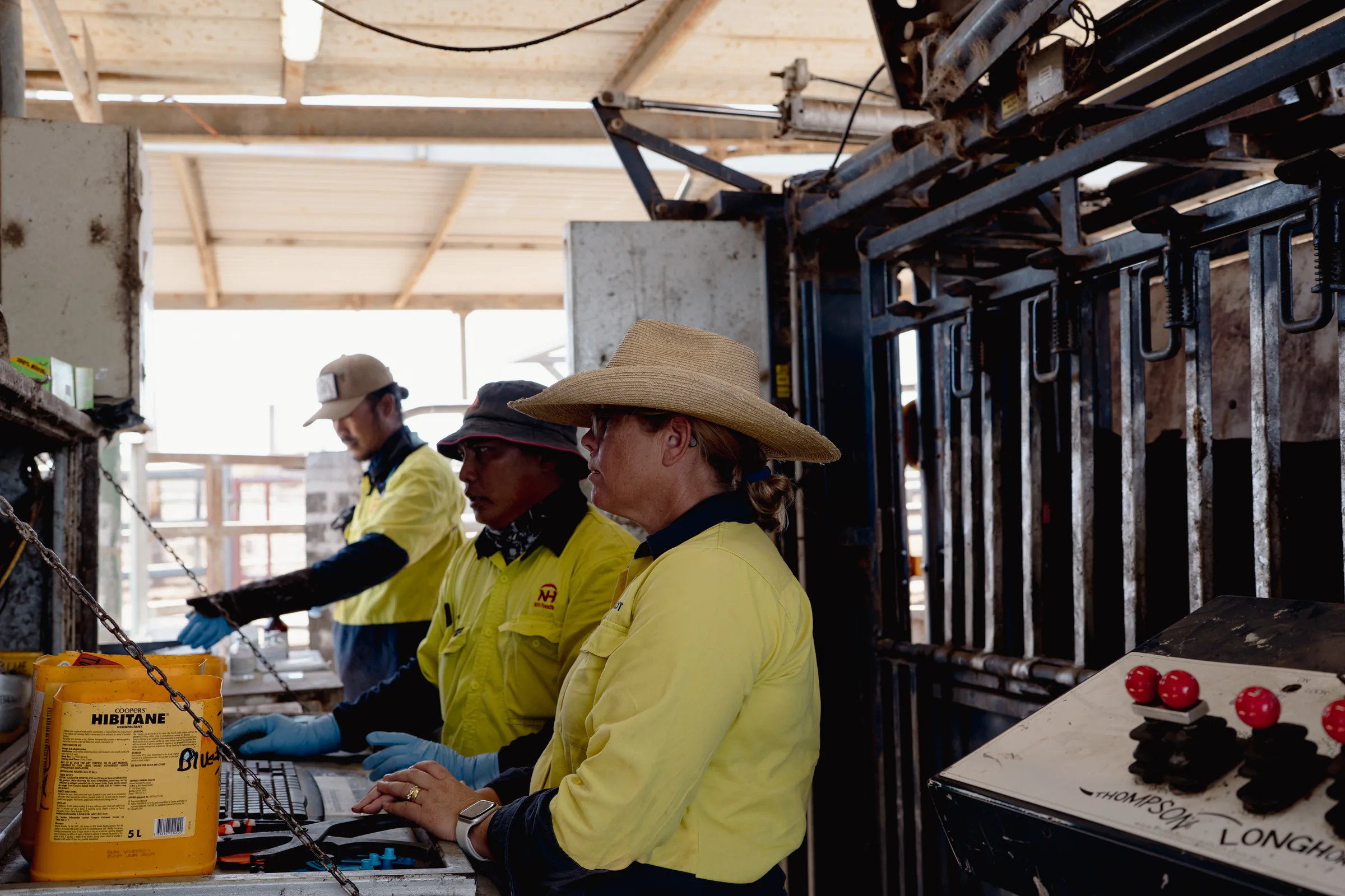 ProFeedlot team members in hi-vis shirts working together at a bench in the feedlot office.